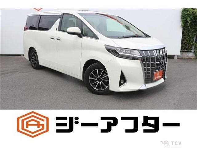 2020 Toyota Alphard G