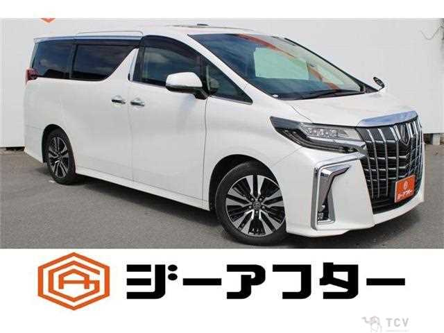 2021 Toyota Alphard G