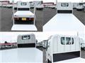 2020 Isuzu Elf Truck