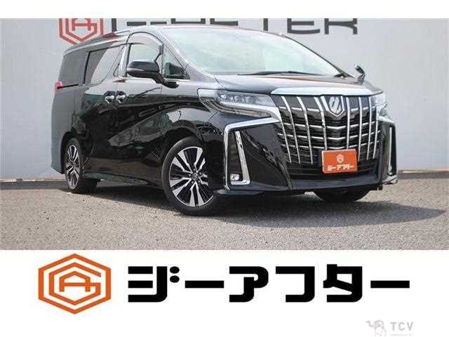 2020 Toyota Alphard G