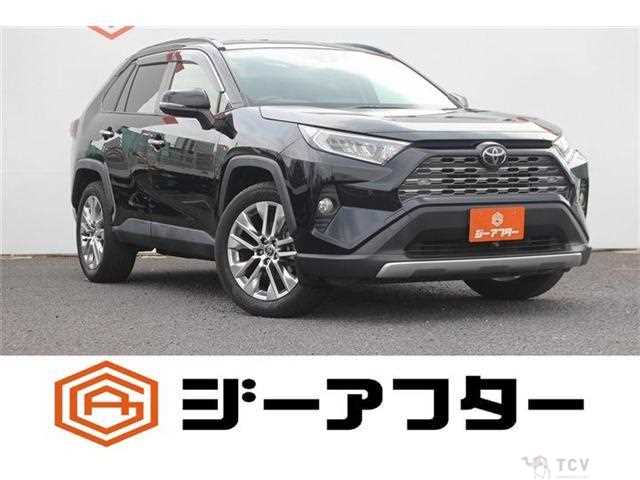 2019 Toyota RAV4