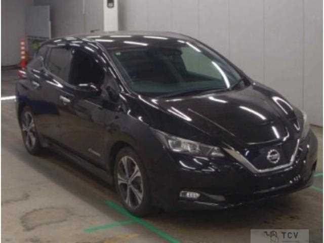 2019 Nissan Leaf