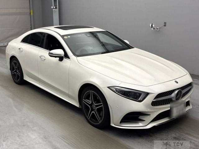 2019 Mercedes-Benz Cls-Class