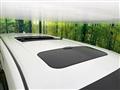 2019 Toyota Alphard G