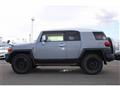2015 Toyota FJ Cruiser