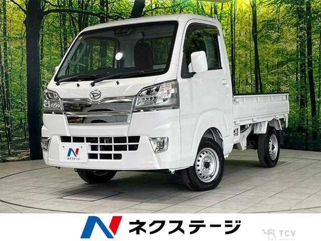 2021 Daihatsu Hijet Truck
