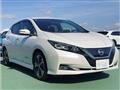 2018 Nissan Leaf