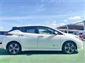 2018 Nissan Leaf