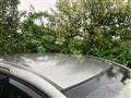 2009 Honda Freed