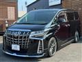 2020 Toyota Alphard G