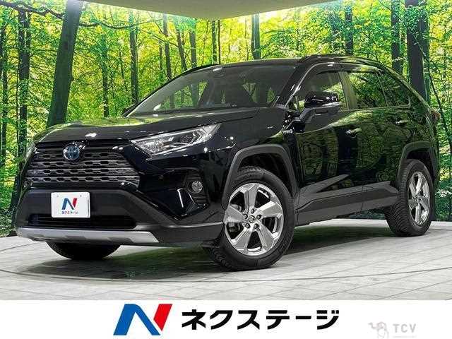 2020 Toyota RAV4