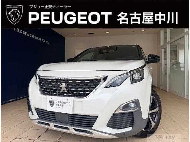 2019 Peugeot Peugoet Others