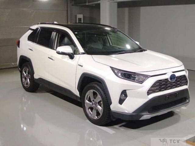 2019 Toyota RAV4
