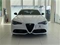 2024 Alfa Romeo Alfa Romeo Others
