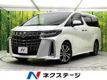 2019 Toyota Alphard G