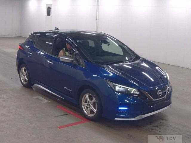 2022 Nissan Leaf