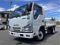 2021 Isuzu Elf Truck