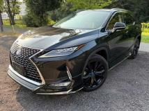 2020 Lexus RX