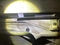 2005 Nissan Elgrand