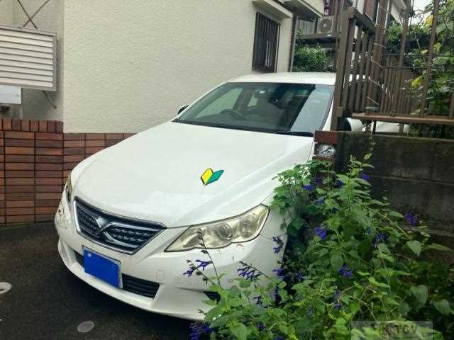2010 Toyota Mark X