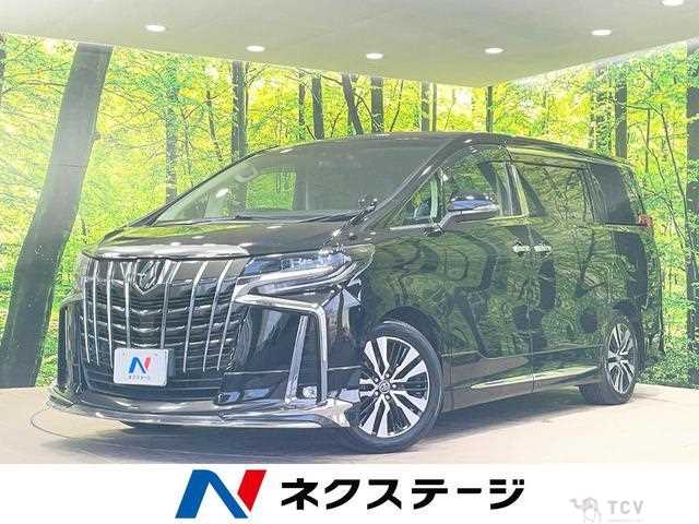 2019 Toyota Alphard G