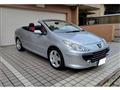 2007 Peugeot 307