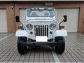 1995 Mitsubishi Jeep
