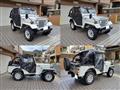 1995 Mitsubishi Jeep
