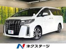 2019 Toyota Alphard G