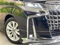2019 Toyota Alphard G