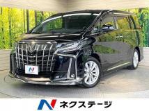 2019 Toyota Alphard G