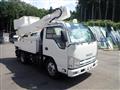 2009 Isuzu Elf Truck