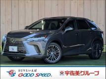 2024 Lexus RX
