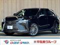 2024 Lexus RX