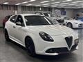 2019 Alfa Romeo Alfa Romeo Others