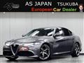 2019 Alfa Romeo Alfa Romeo Others