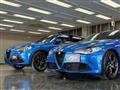 2019 Alfa Romeo Alfa Romeo Others