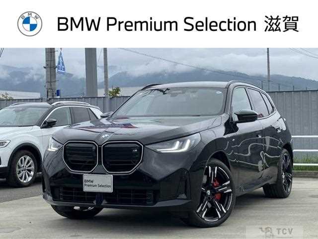 2025 BMW X3