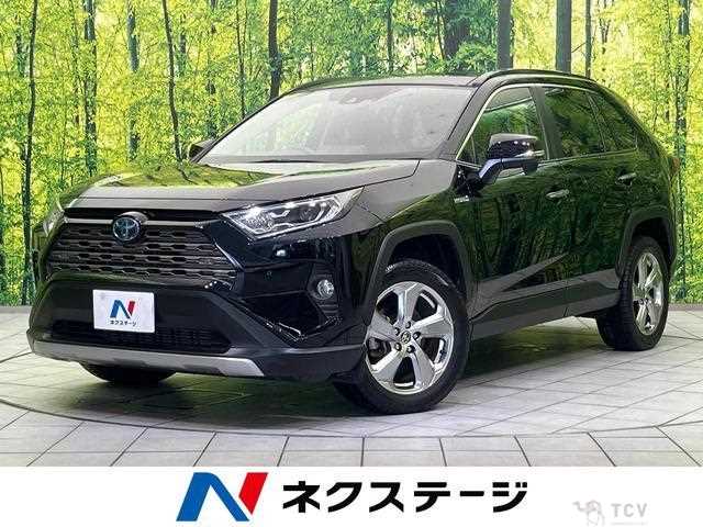 2020 Toyota RAV4