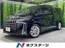 2019 Toyota Alphard G