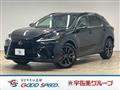 2025 Lexus RX