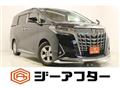 2021 Toyota Alphard G