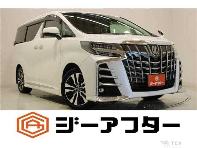 2019 Toyota Alphard G