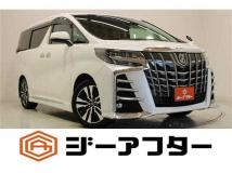 2019 Toyota Alphard G