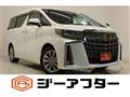 2021 Toyota Alphard G