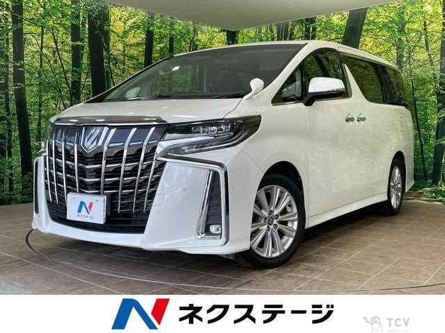 2019 Toyota Alphard G