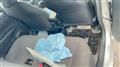 2013 Toyota Vitz