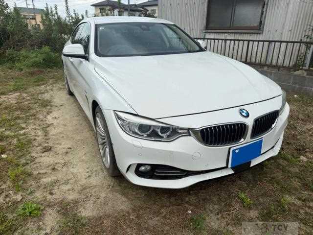 2015 BMW BMW Others