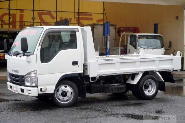 2017 Isuzu Elf Truck