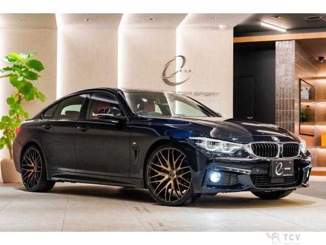 2018 BMW BMW Others